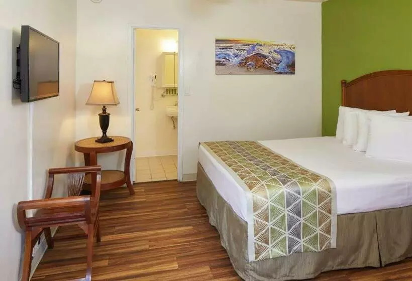 اتاق استاندارد, Pacific Marina Inn