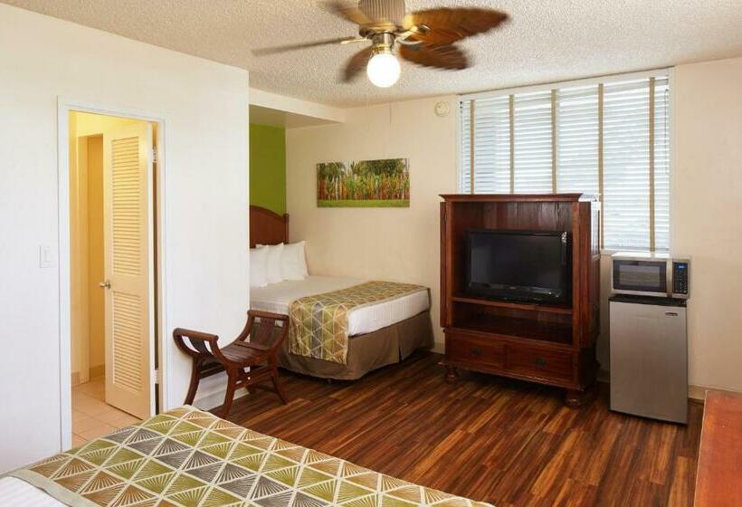 غرفه قياسيه سريرين مزدوجين, Pacific Marina Inn