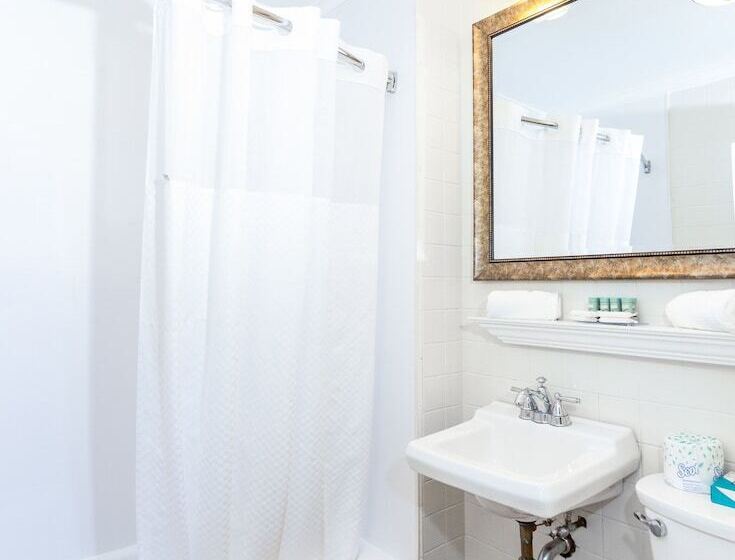 带观景的豪华间, Provincetown Inn