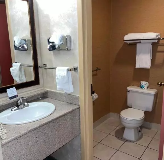 キングサイズベッドのスタンダードルーム, Quality Inn And Conference Center Greeley Downtown