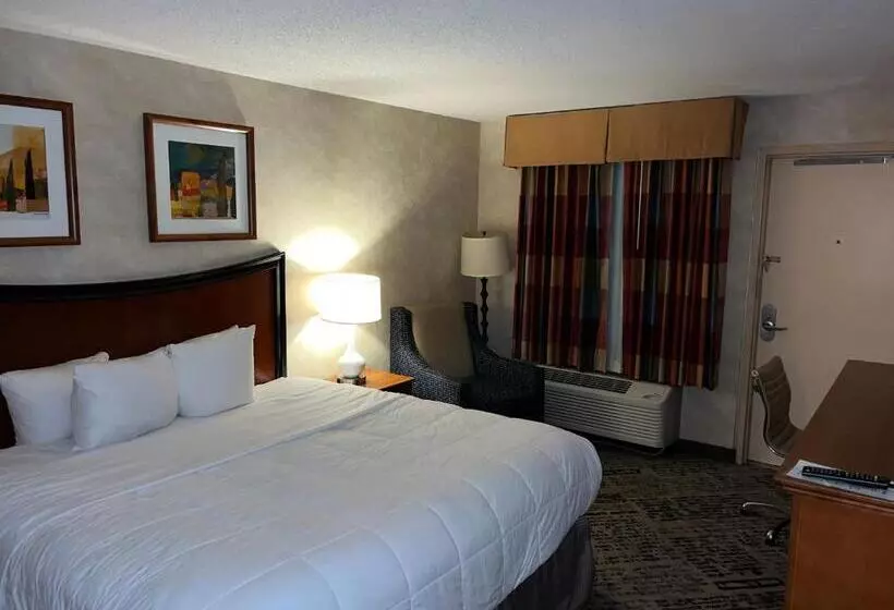 キングサイズベッドのデラックスルーム, Quality Inn And Conference Center Greeley Downtown