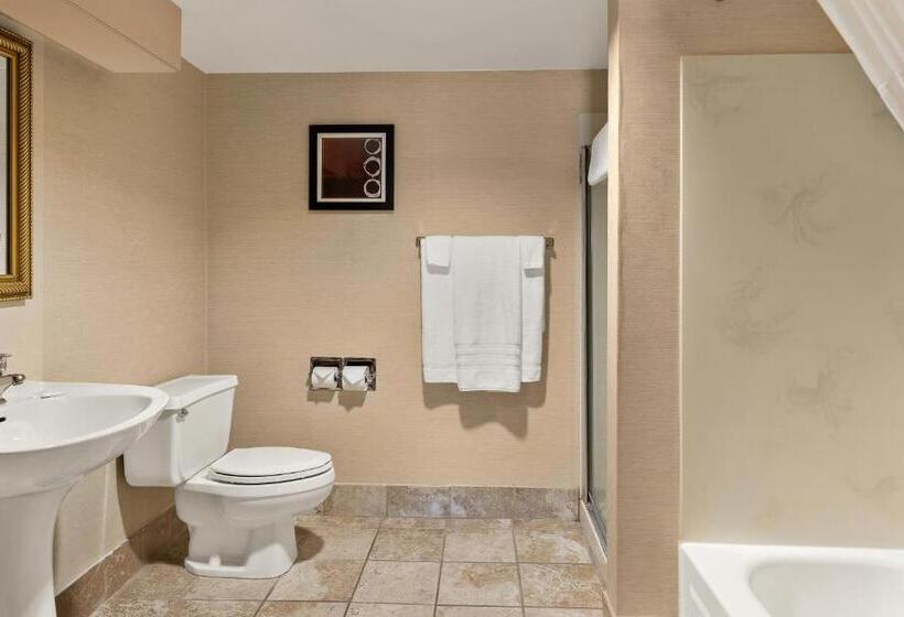 キングサイズベッドのスタンダードルーム, Rl Cleveland Airport West