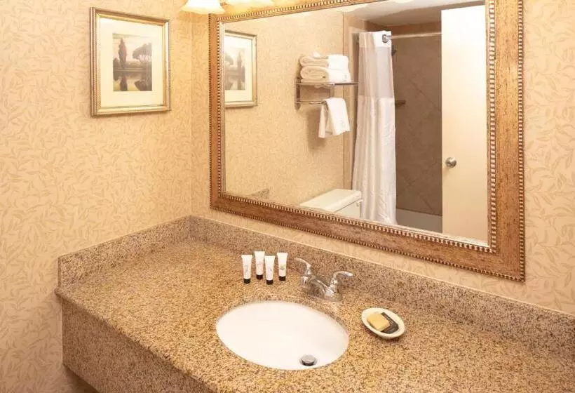 スーペリアールーム, Red Lion Hotel Pocatello