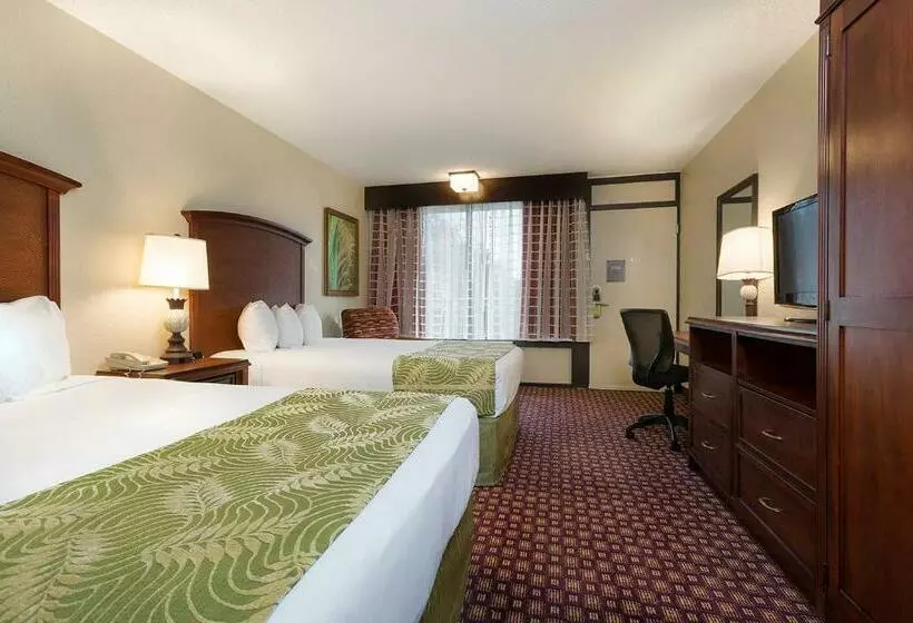 デラックスルーム, Rosen Inn at Pointe Orlando