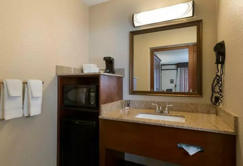 デラックスルーム, Rosen Inn at Pointe Orlando
