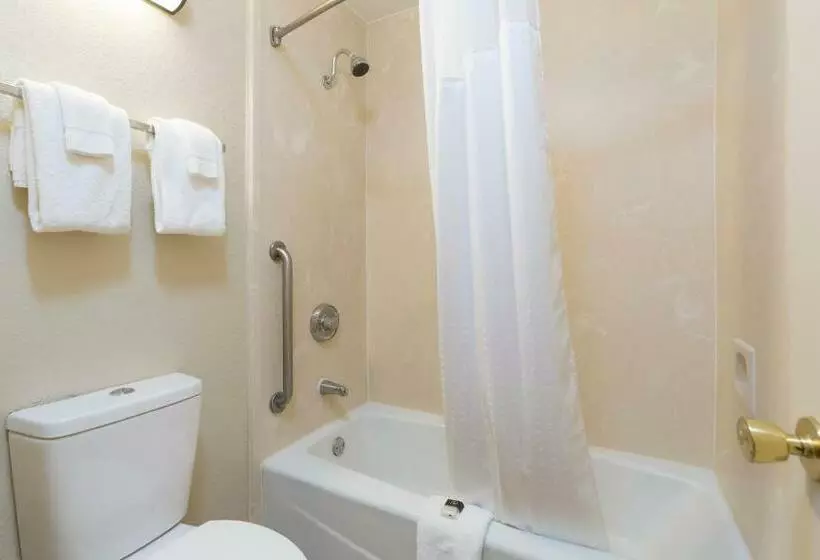 デラックスルーム, Rosen Inn at Pointe Orlando