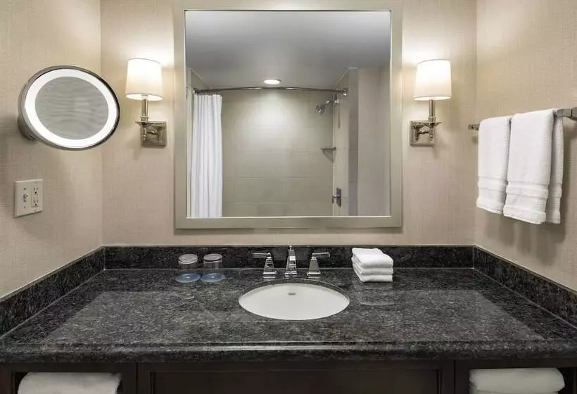 اتاق استاندارد با 2 تخت دوبل, Sheraton Norfolk Waterside