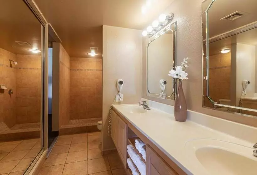 سوئیت با تخت بزرگ, The Nautical Beachfront Resort