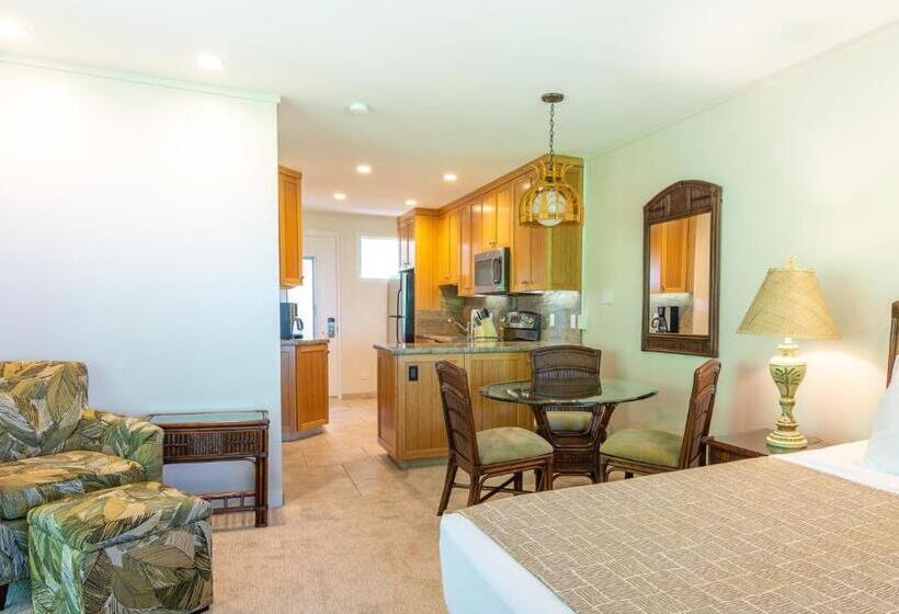 带海景的标准工作室, Nāpili Surf Beach Resort By Castle