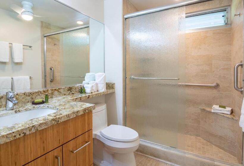 דירה בת חדר שינה 1 צדדית נוף לים, Nāpili Surf Beach Resort By Castle