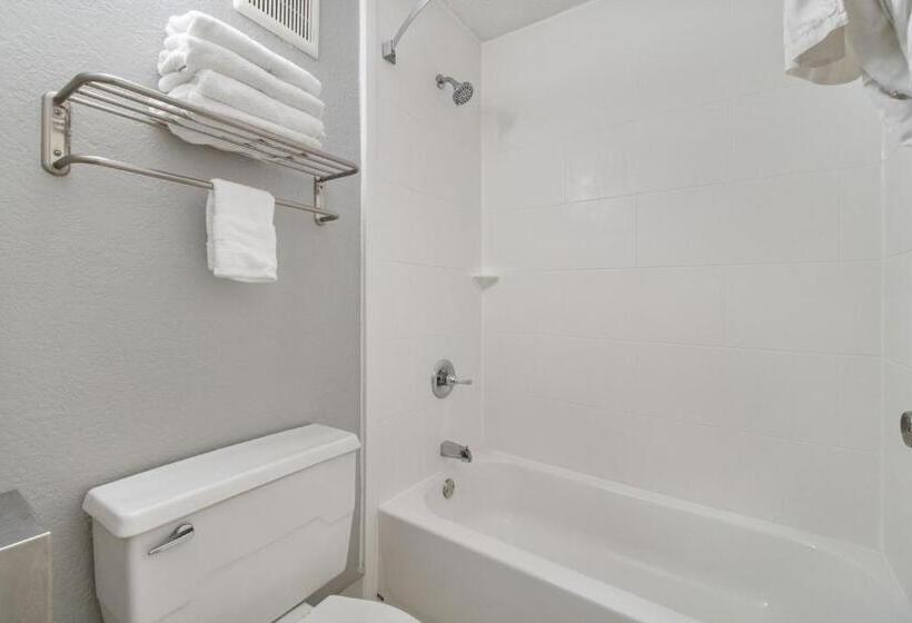 Номер Стандарт Боковой Вид на Море, Beachfront Palms Hotel Galveston