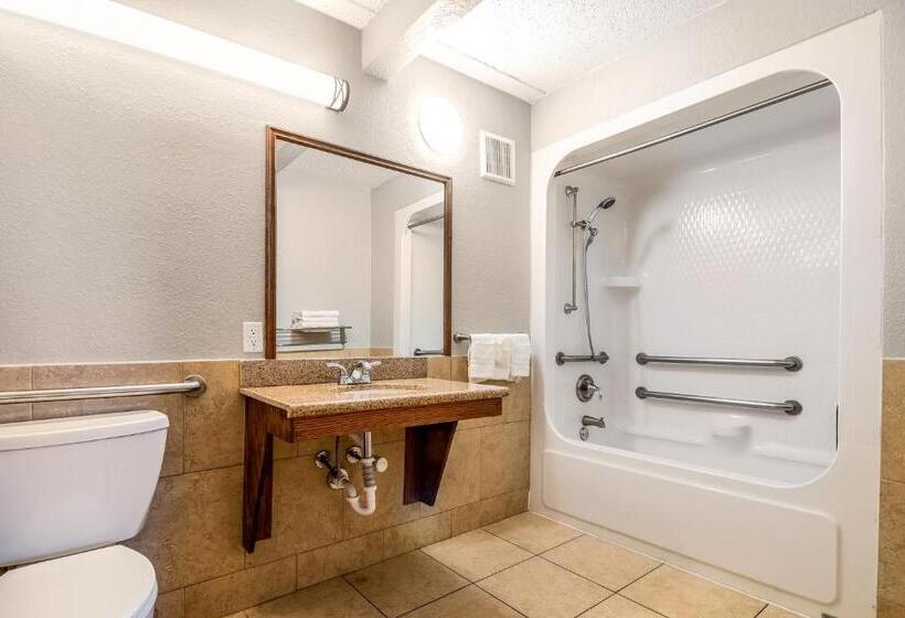 Номер Стандарт Кровать Кинг Адаптированный для Инвалидов, Beachfront Palms Hotel Galveston