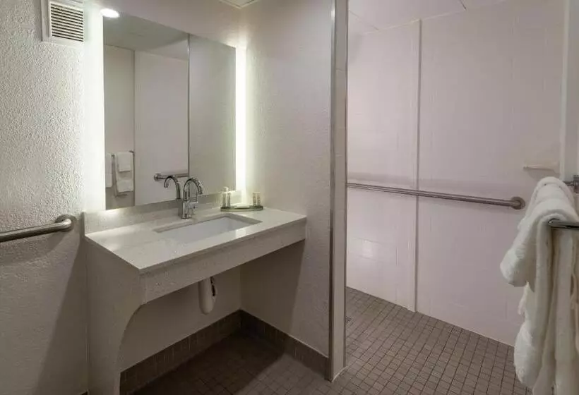 身障者適用キングサイズベッドルーム, Baymont By Wyndham White Plains  Elmsford