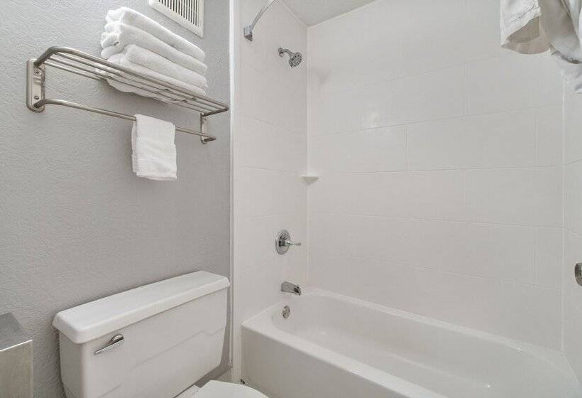 Номер Economy, Beachfront Palms Hotel Galveston