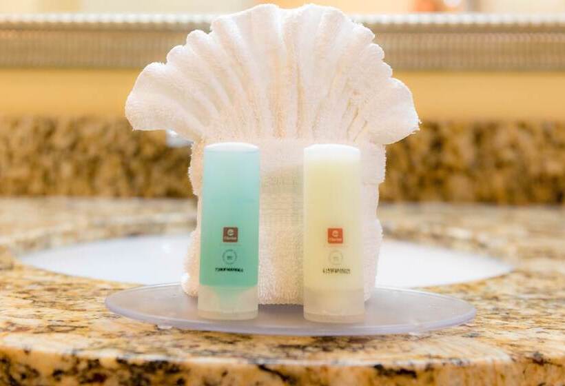 חדר סטנדרט שתי מיטות זוגיות, Clarion Inn Elmhurst  Oak Brook Near I88, I290, I294