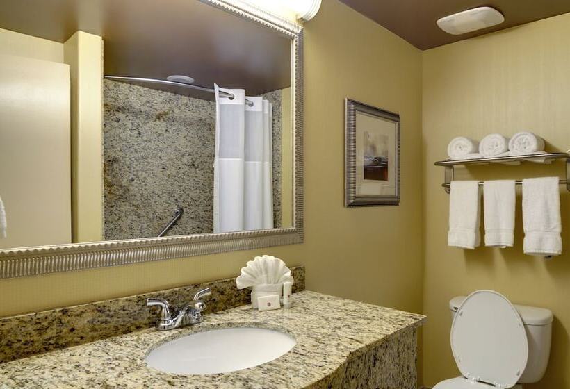 חדר סטנדרט שתי מיטות זוגיות, Clarion Inn Elmhurst  Oak Brook Near I88, I290, I294