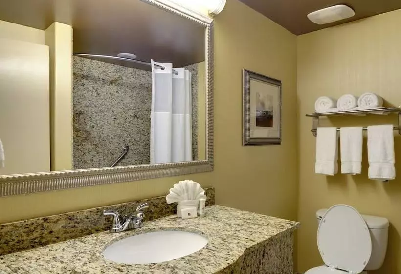 Standard-huone 2 Parivuodetta, Clarion Inn Elmhurst Oak Brook Near I88, I290, I294