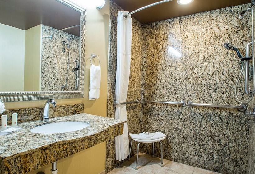 スイート, Clarion Inn Elmhurst  Oak Brook Near I88, I290, I294
