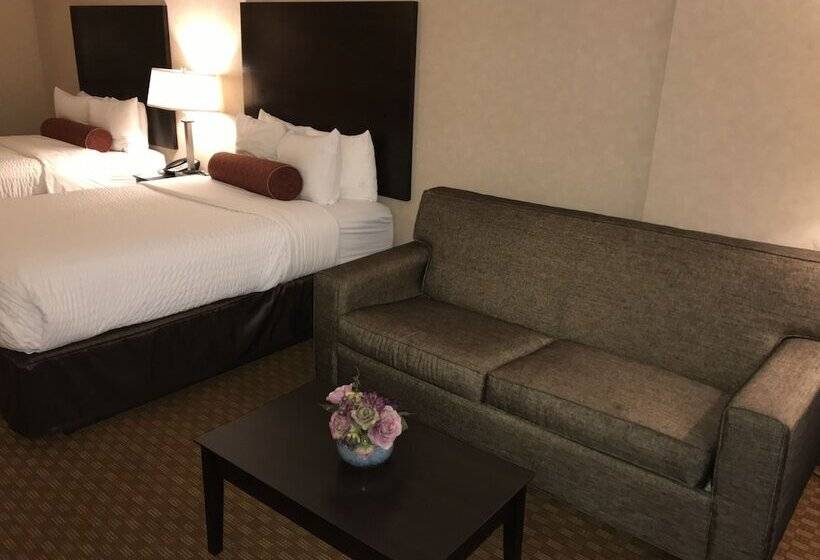 סוויטה, Clarion Inn Elmhurst  Oak Brook Near I88, I290, I294