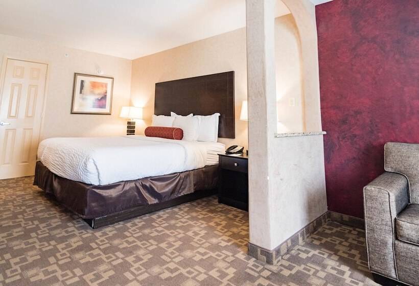 スイート, Clarion Inn Elmhurst  Oak Brook Near I88, I290, I294