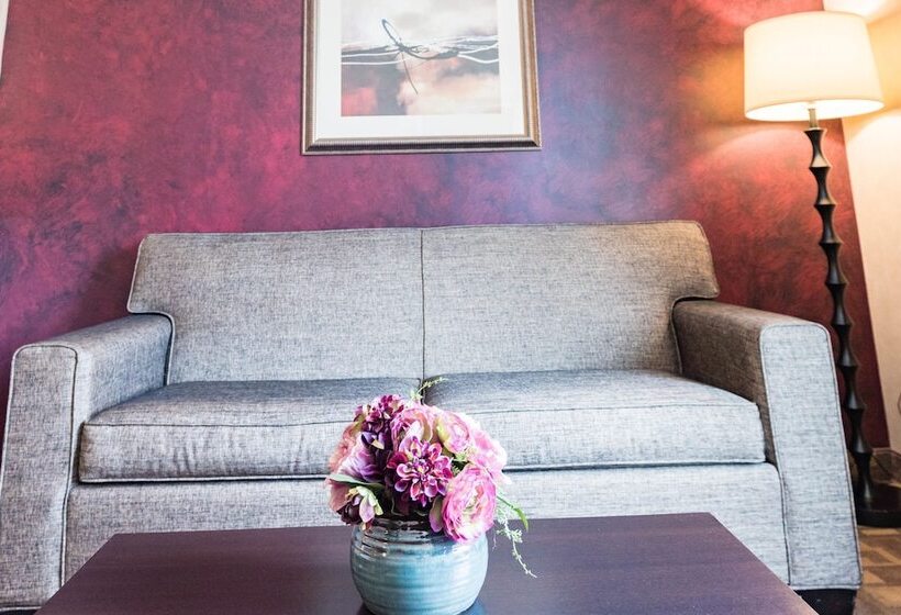 סוויטה, Clarion Inn Elmhurst  Oak Brook Near I88, I290, I294