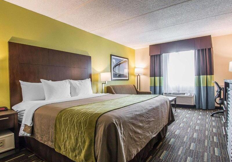 스탠다드 룸 킹사이즈 침대, Comfort Inn Chula Vista San Diego South