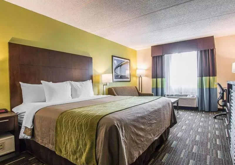 اتاق استاندارد با تخت بزرگ, Comfort Inn Chula Vista San Diego South