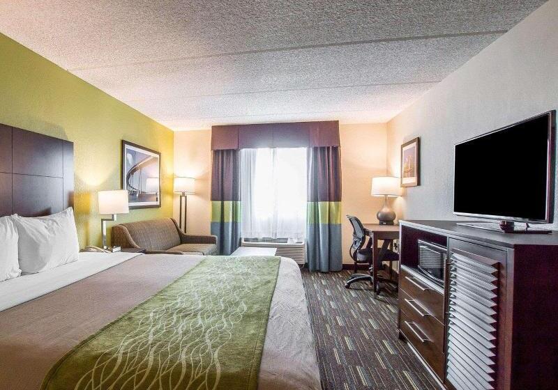 스탠다드 룸 킹사이즈 침대, Comfort Inn Chula Vista San Diego South