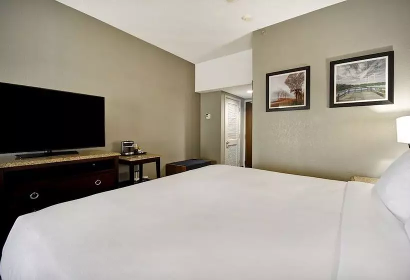 身障者適用スタンダードルーム, Doubletree By Hilton Hotel Augusta