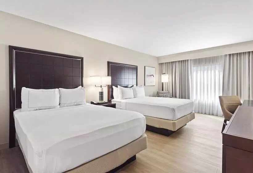 ２ダブルベッドのスタンダードルーム, Doubletree By Hilton Columbus