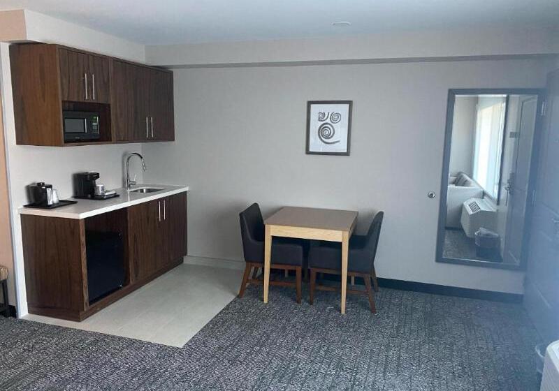 Номер Стандартный с Видом, Holiday Inn Express San Francisco Airport South, An Ihg