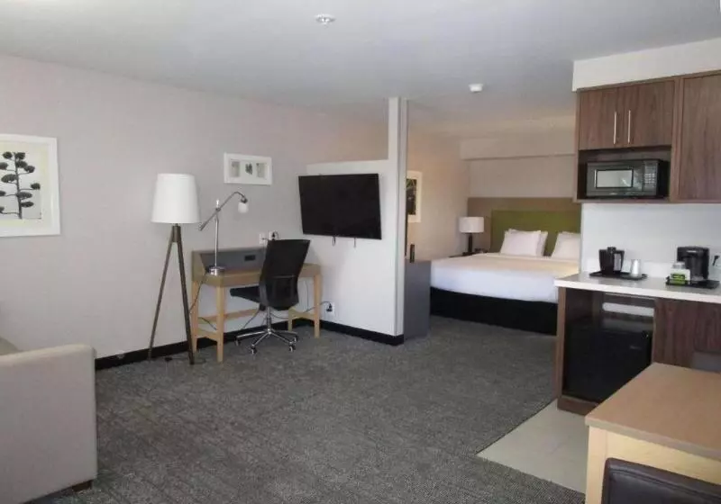 Standard-huone Näkymä, Holiday Inn Express San Francisco Airport South, An Ihg
