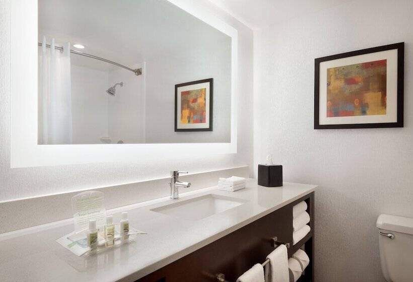 带2个双人床的标准工作室, Holiday Inn Rock Island Quad Cities, An Ihg