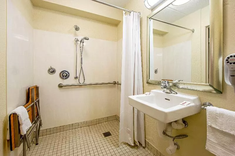 キングサイズベッドのスーペリアルーム, Red Roof Inn Asheville   Biltmore West
