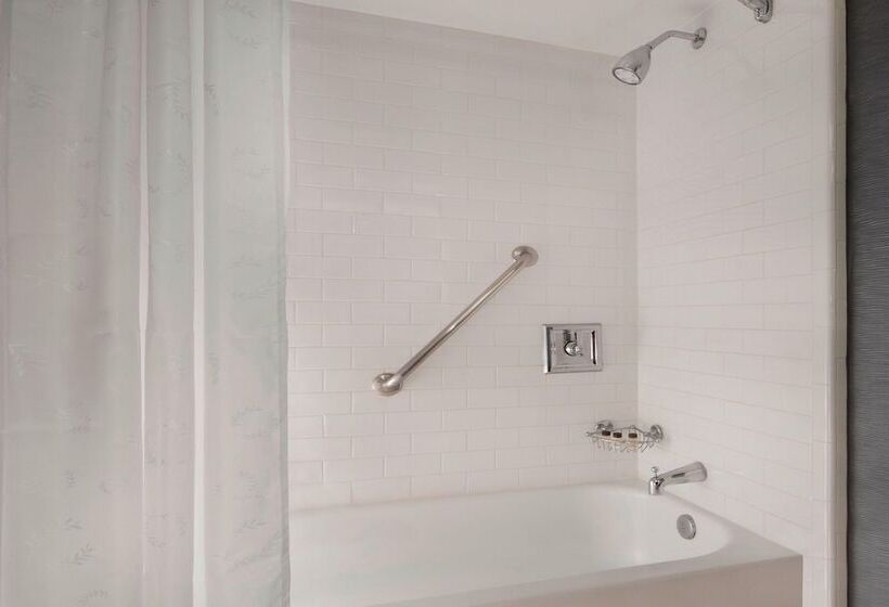 带2个双人床的标准工作室, Sheraton Arlington