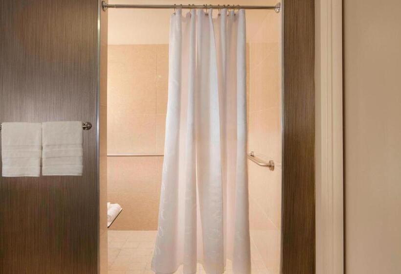 장애인을 위한 킹사이즈 침대 스탠다드 룸, Sheraton Dfw Airport