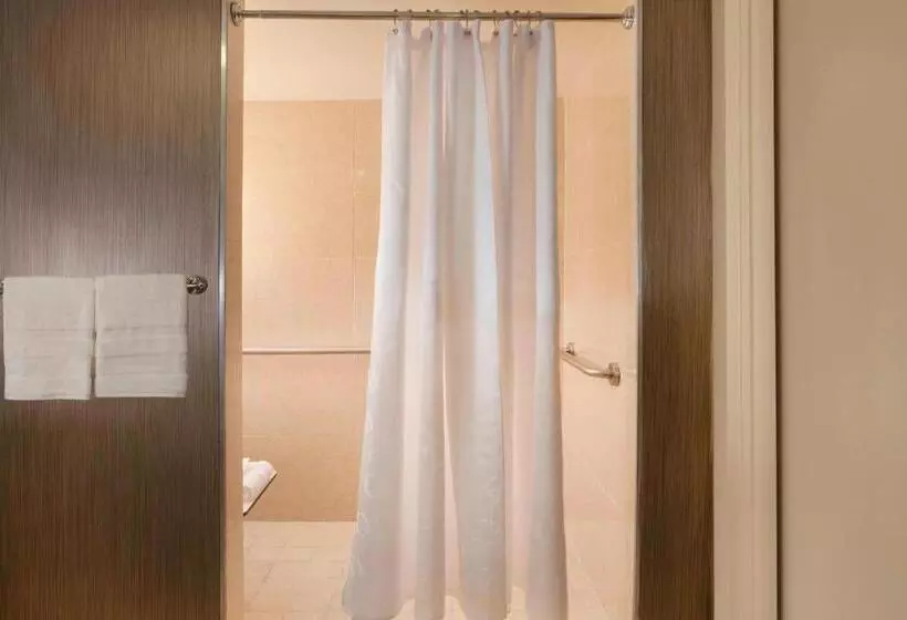 身障者適用キングサイズベッドルーム, Sheraton Dfw Airport