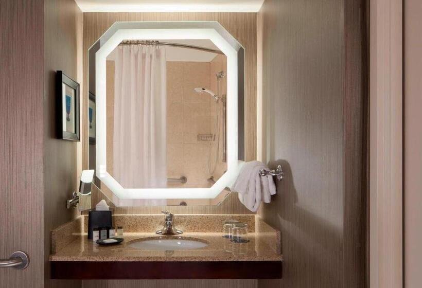 身障者適用キングサイズベッドルーム, Sheraton Dfw Airport