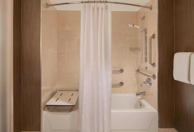 身障者適用キングサイズベッドルーム, Sheraton Dfw Airport