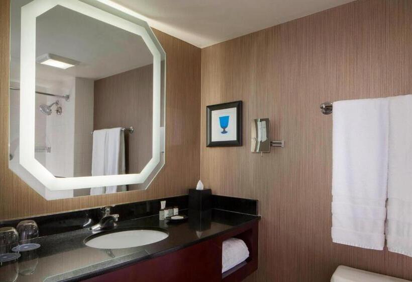 身障者適用キングサイズベッドルーム, Sheraton Dfw Airport