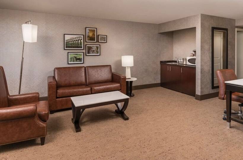 Полулюкс, The Saratoga Hilton