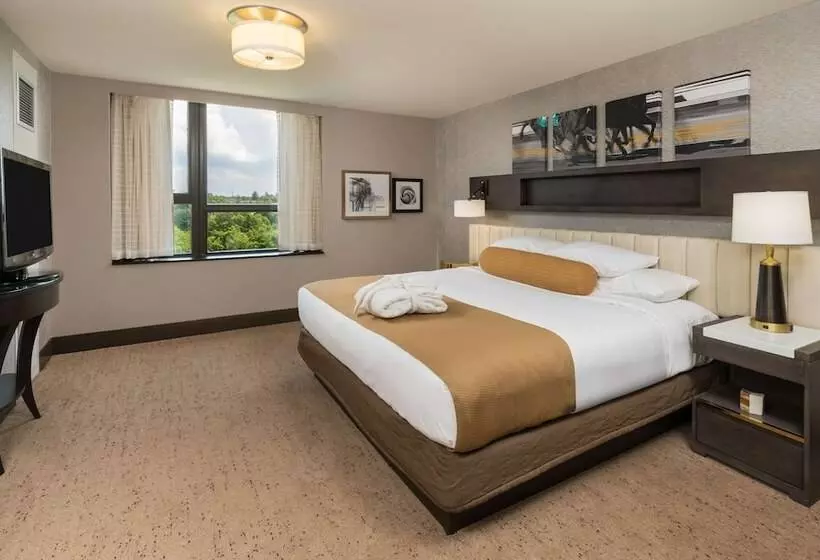 デラックススイート, The Saratoga Hilton