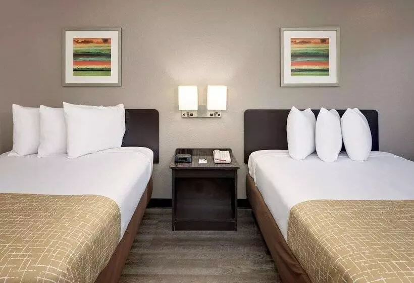 اتاق استاندارد با 2 تخت دوبل, Travelodge By Wyndham College Park