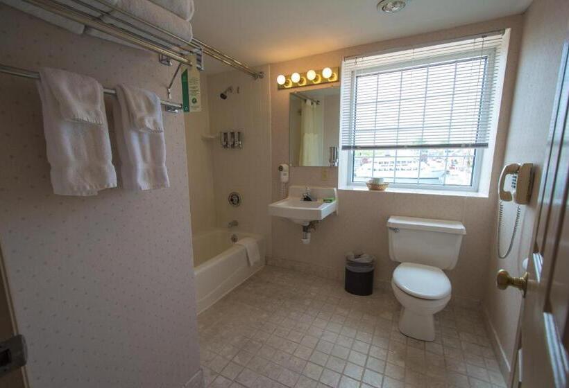 חדר דלוקס עם נוף, Riveredge Resort