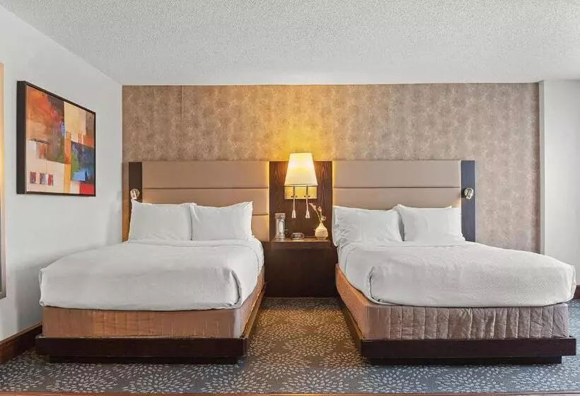 スタンダードルーム, Armon Hotel & Conference Center Stamford Ct