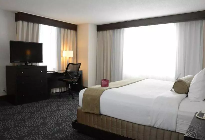 身障者適用キングサイズベッドルーム, Armon Hotel & Conference Center Stamford Ct