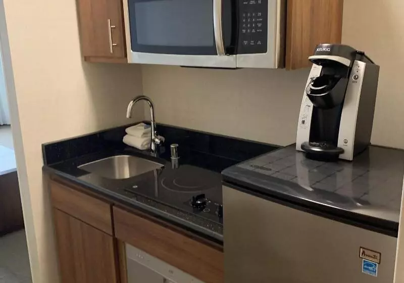 デラックススタジオ, Delta Hotels By Marriott Mount Pleasant
