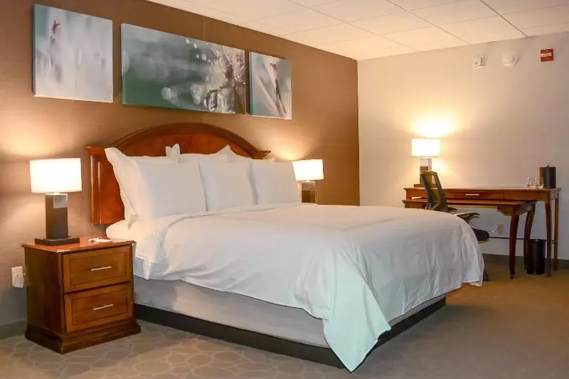 キングサイドベッドのスタンダードワンルーム, Delta Hotels By Marriott Mount Pleasant
