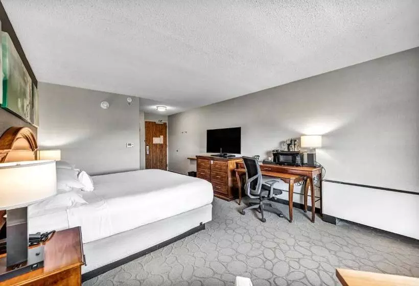 キングサイズベッドのスタンダードルーム, Delta Hotels By Marriott Mount Pleasant