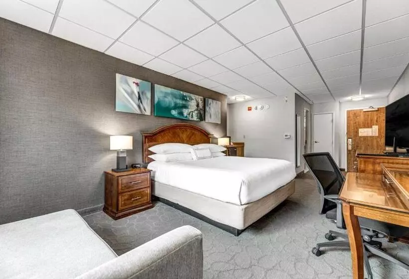 キングサイドベッドのスタンダードワンルーム, Delta Hotels By Marriott Mount Pleasant